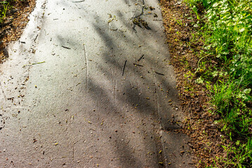 Pedestrian asphalt path strewn with debris from trees