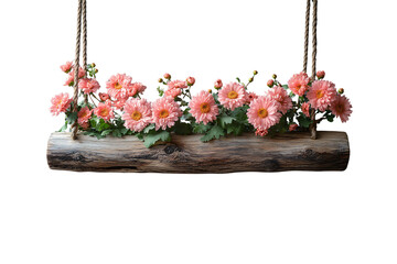 Rustic wooden log planter with rope handles filled with blooming pink chrysanthemum flowers and green foliage, isolated on a transparent background