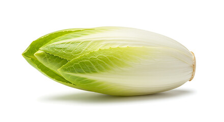 Endive with Soft Shadows on White Background
