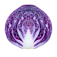Obraz premium Red Cabbage Cross Section Abstract Purple Vegetable