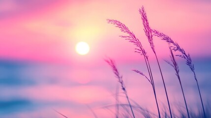 Obraz premium Pink sunset beach grass silhouette, ocean background, serenity postcard
