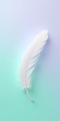 Obraz premium White feather on pastel gradient background in soft blue and green tones with copy-space