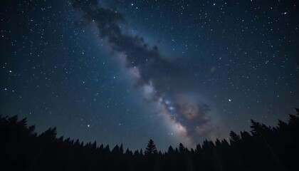 Obraz premium Milky Way Above Forest Night Sky Star Gazing