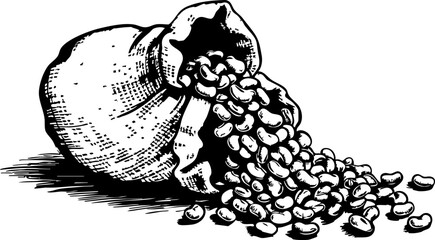 Spilling raw beans kitchen counter rustic top-down culinary art