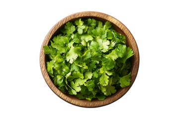 Top view of cilantro vegetable in a wooden bow isolated on transparent background
