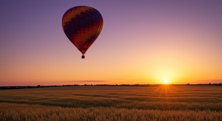 Hot Air Balloon Over Field at Sunset