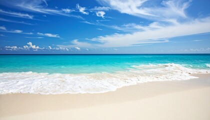 Fototapeta premium tropical beach with blue sky and palm trees