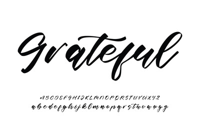 signature Font Calligraphy Logotype Script Brush Font Type Font lettering handwritten 