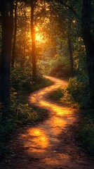 Fototapeta premium Sunlight Filtering Through Forest Trees at Sunset