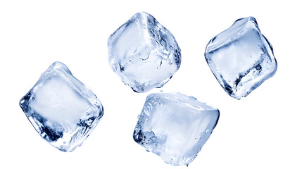 Obraz premium Four clear ice cubes isolated on a white background