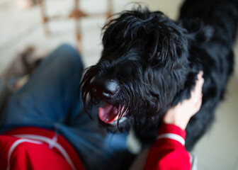 Close-up of a happy black dog being petted by a person wearing red clothes. The photo is taken...