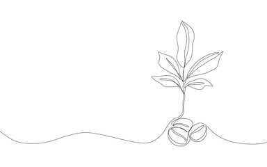 Continuous single line coffee bean. Abstract coffee seeds with leaves, simple coffee shop symbol, caffeine drink logo graphic design. Minimalist vector illustration