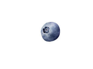 Blueberrie on a white background, watercolor technique. Suitable for food design, packaging, summer designs, textiles, labels, posters, patterns