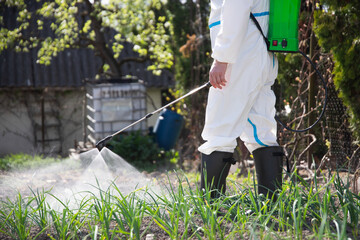 Farmer spraying fertilizer. Pest control and plant diseases to obtain a large harvest