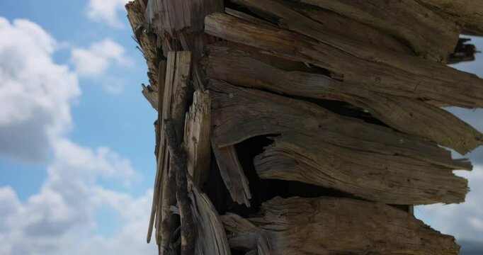 Close up of driftwood outdoor sculpture, Vaia Eagle in Altopiano, Italy