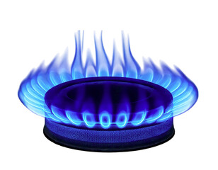 Closeup of a gas burner with vibrant blue flames against a white background.