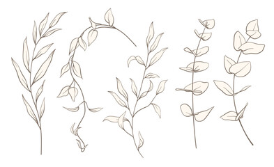 Set of wild plants, branches, leaves. Vintage minimal hand drawn floral sketch in line art style. Botanical element design for greeting cards, wedding invitations, birthday, tattoo, save the date