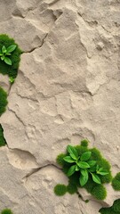 Organic Stone Texture Background with Greenery