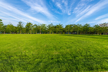 Green camping grassland in Spring Park