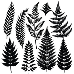 Simple Vector Illustrations in Black and White