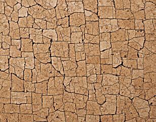 Fototapeta premium Cracked Earth Texture Background Dry Soil Pattern