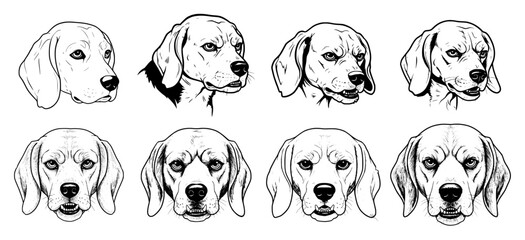 Vector outline of furious Beagle dog faces. 