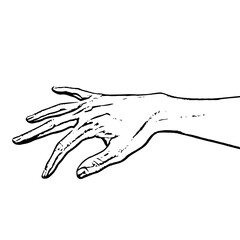 Obraz premium Elegant Hand Drawing Line Art Illustration of a Reaching Hand