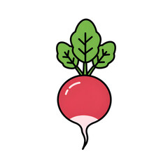 Radish Illustration Clipart