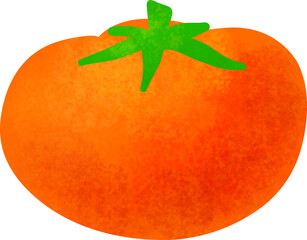 Pastel tomato vegetable illustration