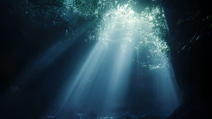 In the jungle trees there is a beautiful light with dramatic and beautiful highlights.