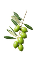 Isolated Green Olives Branch with Leaves on Transparent Background