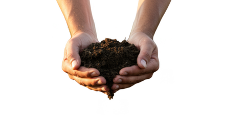 Isolated Hands Holding Pile Of Dark Soil Earth Agriculture Transparent