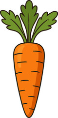 The carrot with white background