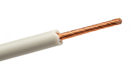Isolated Macro Of A Copper Wire Cable With White Insulation Transparent