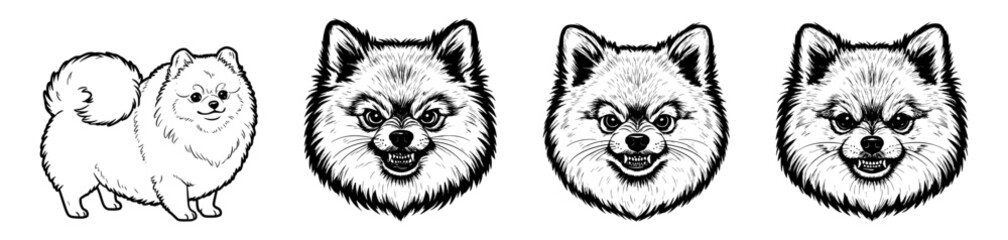 Vector Pomeranian dog faces 