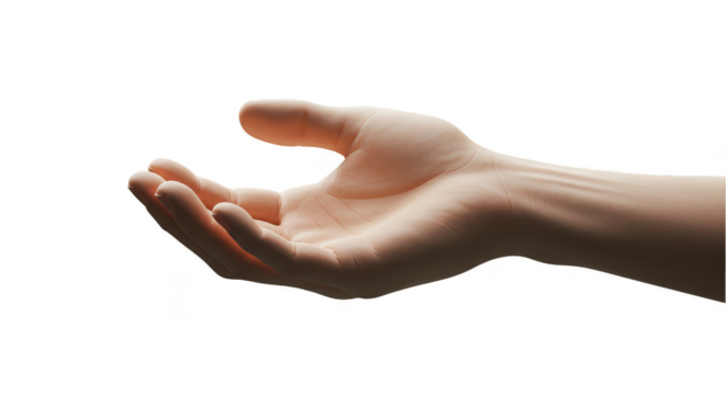 Isolated Open Hand Offering Receiving Requesting Help on Transparent Background