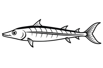 Barracuda Fish Outline Illustration With Distinctive Fins, Pointed Head, And Streamlined Body
