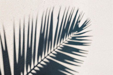 Minimalist Boho Aesthetic: Palm leaf shadow overlay on sunlit textured neutral wall. Slow living summer vibe, organic background for serene design concepts. 