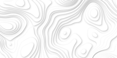 Abstract wavy line 3d paper cut white background. white and gray luxury grid topography map and satin smooth wallpaper matt paper light texture. White waves decorative papercut design.