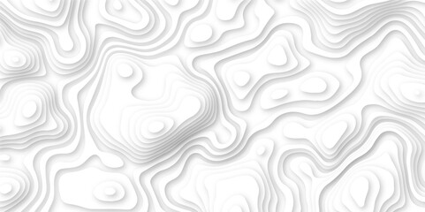Abstract wavy line 3d paper cut white background. white and gray luxury grid topography map and satin smooth wallpaper matt paper light texture. White waves decorative papercut design.