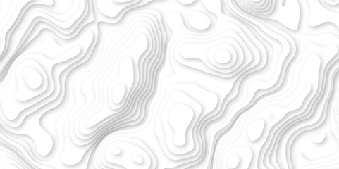 Abstract wavy line 3d paper cut white background. white and gray luxury grid topography map and satin smooth wallpaper matt paper light texture. White waves decorative papercut design.