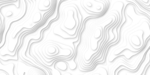 Abstract wavy line 3d paper cut white background. white and gray luxury grid topography map and satin smooth wallpaper matt paper light texture. White waves decorative papercut design.