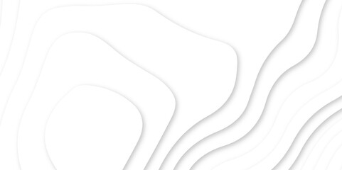 Abstract wavy line 3d paper cut white background. white and gray luxury grid topography map and satin smooth wallpaper matt paper light texture. White waves decorative papercut design.