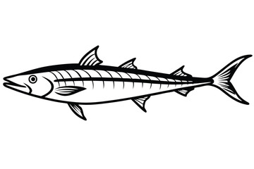 Obraz premium Detailed Black and White Graphic Illustration of a Barracuda Fish with Fins and Tail