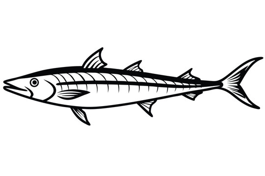 Detailed Black and White Graphic Illustration of a Barracuda Fish with Fins and Tail