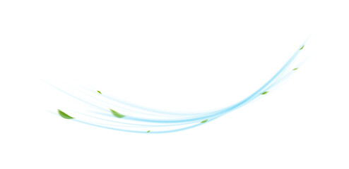 Fresh Air Flow with Leaves on Transparent Background