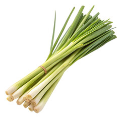 Fototapeta premium Lemongrass fragrant herb stalks isolated on white background showing fresh natural green tone and form 