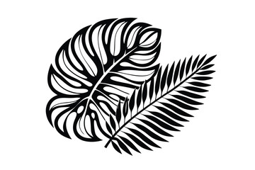 Black Silhouette of Monstera & Palm Leaf, Tropical Foliage, Isolated on White Backdrop
