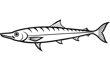 Detailed Black and White Line Art Illustration of a Barracuda Fish Swimming Sideways