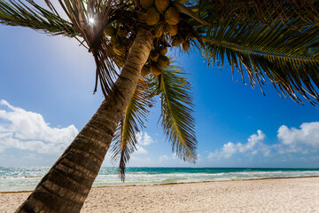 Beautiful Tulum beach  in Mexico